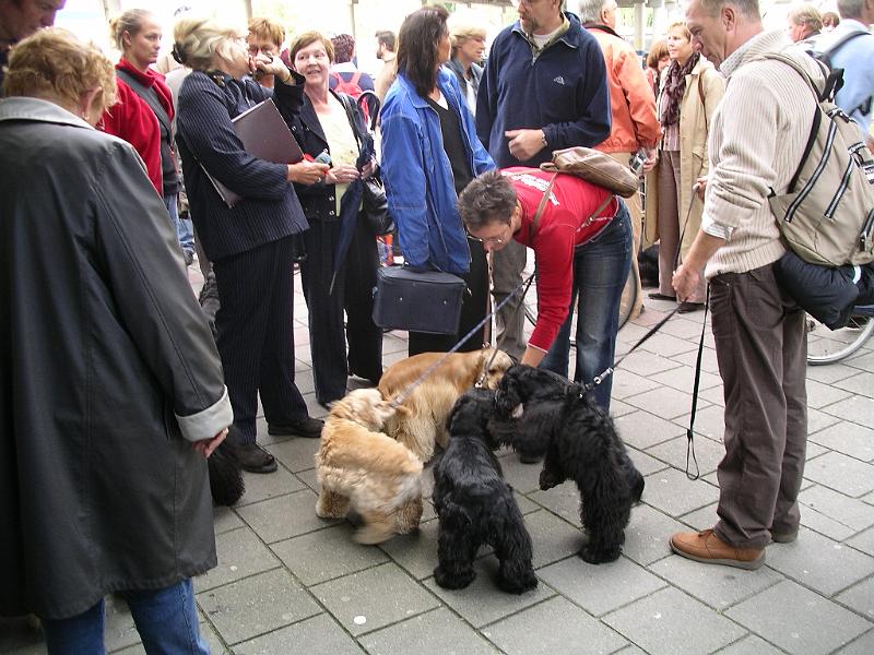 Amerikanendag 2005 003.jpg